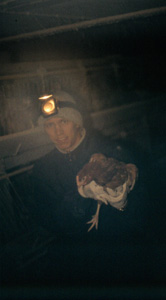 Johan with liberated hen